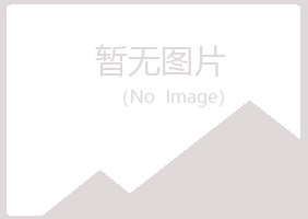 漳平初夏音乐有限公司